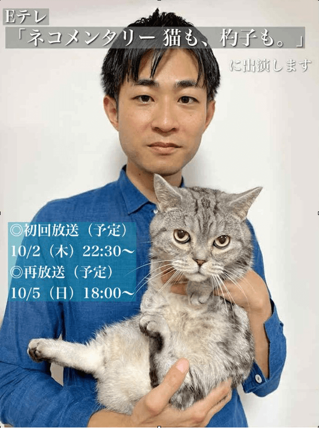 ネコメンタリー 猫も杓子も。（2025年）